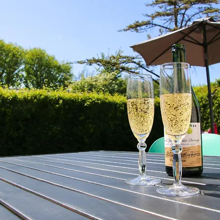 De Flamingo - Zomerparadijs Met Grote Tuin Nabij En Bos Bergen & Schoorl Holiday home